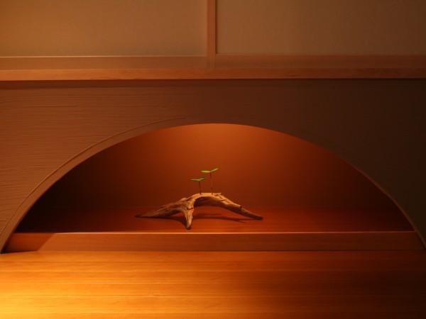 Kosensou Hotel Suwa  Luaran gambar